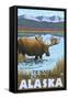 Moose Drinking at Lake, Denali National Park, Alaska-Lantern Press-Framed Stretched Canvas