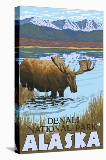 Moose Drinking at Lake, Denali National Park, Alaska-Lantern Press-Stretched Canvas