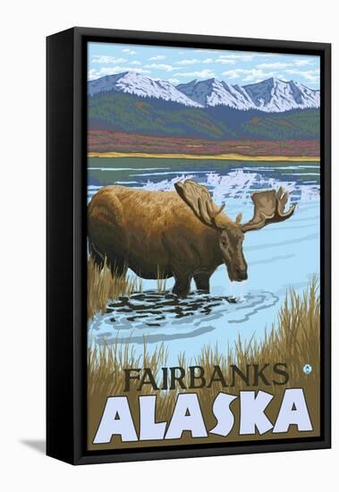 Moose Drinking at Lake, Fairbanks, Alaska-Lantern Press-Framed Stretched Canvas