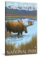 Moose Drinking at Lake, Glacier National Park, Montana-Lantern Press-Stretched Canvas