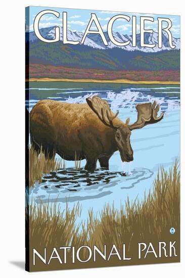 Moose Drinking at Lake, Glacier National Park, Montana-Lantern Press-Stretched Canvas
