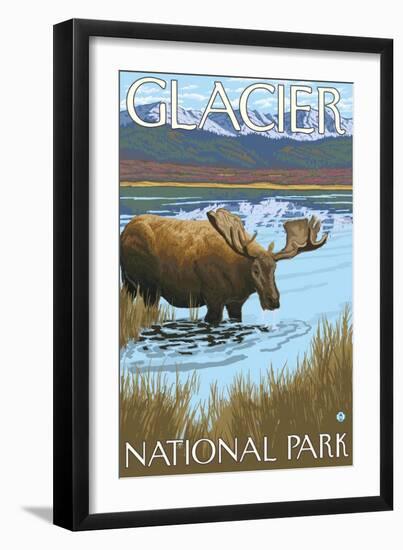 Moose Drinking at Lake, Glacier National Park, Montana-Lantern Press-Framed Art Print