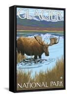 Moose Drinking at Lake, Glacier National Park, Montana-Lantern Press-Framed Stretched Canvas