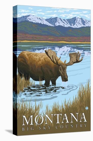 Moose Drinking at Lake, Montana-Lantern Press-Stretched Canvas