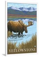 Moose Drinking at Lake, Yellowstone National Park-Lantern Press-Framed Art Print