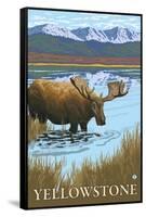 Moose Drinking at Lake, Yellowstone National Park-Lantern Press-Framed Stretched Canvas