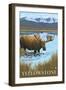 Moose Drinking at Lake, Yellowstone National Park-Lantern Press-Framed Art Print