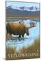 Moose Drinking at Lake, Yellowstone National Park-Lantern Press-Mounted Art Print