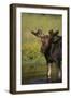 Moose Drinking-DLILLC-Framed Photographic Print