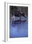 Moose Drinking-DLILLC-Framed Photographic Print