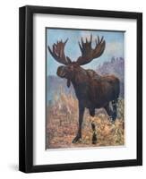 Moose (Elk), Cuthbert Swan-Cuthbert Swan-Framed Art Print