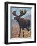 Moose (Elk), Cuthbert Swan-Cuthbert Swan-Framed Art Print