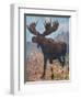 Moose (Elk), Cuthbert Swan-Cuthbert Swan-Framed Art Print