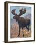 Moose (Elk), Cuthbert Swan-Cuthbert Swan-Framed Art Print