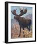 Moose (Elk), Cuthbert Swan-Cuthbert Swan-Framed Art Print