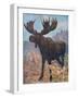 Moose (Elk), Cuthbert Swan-Cuthbert Swan-Framed Art Print