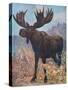 Moose (Elk), Cuthbert Swan-Cuthbert Swan-Stretched Canvas