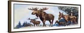 Moose Family-G. W Backhouse-Framed Premium Giclee Print