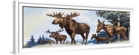 Moose Family-G. W Backhouse-Framed Premium Giclee Print