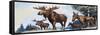 Moose Family-G. W Backhouse-Framed Stretched Canvas