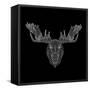 Moose Head Black Mesh-Lisa Kroll-Framed Stretched Canvas