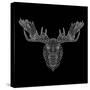 Moose Head Black Mesh-Lisa Kroll-Stretched Canvas