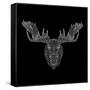 Moose Head Black Mesh-Lisa Kroll-Framed Stretched Canvas