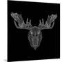 Moose Head Black Mesh-Lisa Kroll-Mounted Art Print