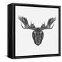 Moose Head Mesh-Lisa Kroll-Framed Stretched Canvas