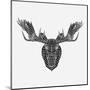 Moose Head Mesh-Lisa Kroll-Mounted Art Print
