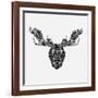 Moose Head Mesh-Lisa Kroll-Framed Art Print