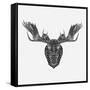 Moose Head Mesh-Lisa Kroll-Framed Stretched Canvas