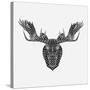 Moose Head Mesh-Lisa Kroll-Stretched Canvas