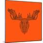 Moose Head Orange Mesh-Lisa Kroll-Mounted Premium Giclee Print