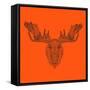 Moose Head Orange Mesh-Lisa Kroll-Framed Stretched Canvas