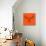 Moose Head Orange Mesh-Lisa Kroll-Stretched Canvas displayed on a wall