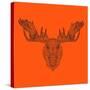 Moose Head Orange Mesh-Lisa Kroll-Stretched Canvas