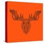 Moose Head Orange Mesh-Lisa Kroll-Stretched Canvas