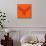 Moose Head Orange Mesh-Lisa Kroll-Mounted Art Print displayed on a wall