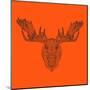Moose Head Orange Mesh-Lisa Kroll-Mounted Art Print