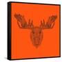 Moose Head Orange Mesh-Lisa Kroll-Framed Stretched Canvas