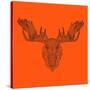 Moose Head Orange Mesh-Lisa Kroll-Stretched Canvas