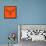 Moose Head Orange Mesh-Lisa Kroll-Framed Stretched Canvas displayed on a wall