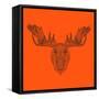 Moose Head Orange Mesh-Lisa Kroll-Framed Stretched Canvas