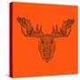 Moose Head Orange Mesh-Lisa Kroll-Stretched Canvas