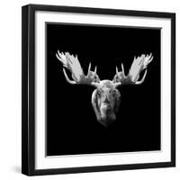 Moose Head-Lisa Kroll-Framed Art Print