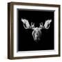 Moose Head-Lisa Kroll-Framed Art Print