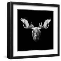 Moose Head-Lisa Kroll-Framed Art Print