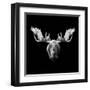 Moose Head-Lisa Kroll-Framed Art Print