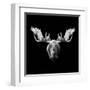 Moose Head-Lisa Kroll-Framed Art Print